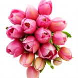 Kytice z tulipánů